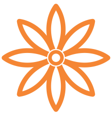Ahana Group Logo
